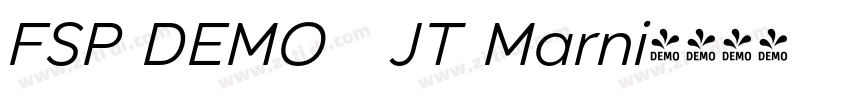 FSP DEMO   JT Marni字体转换